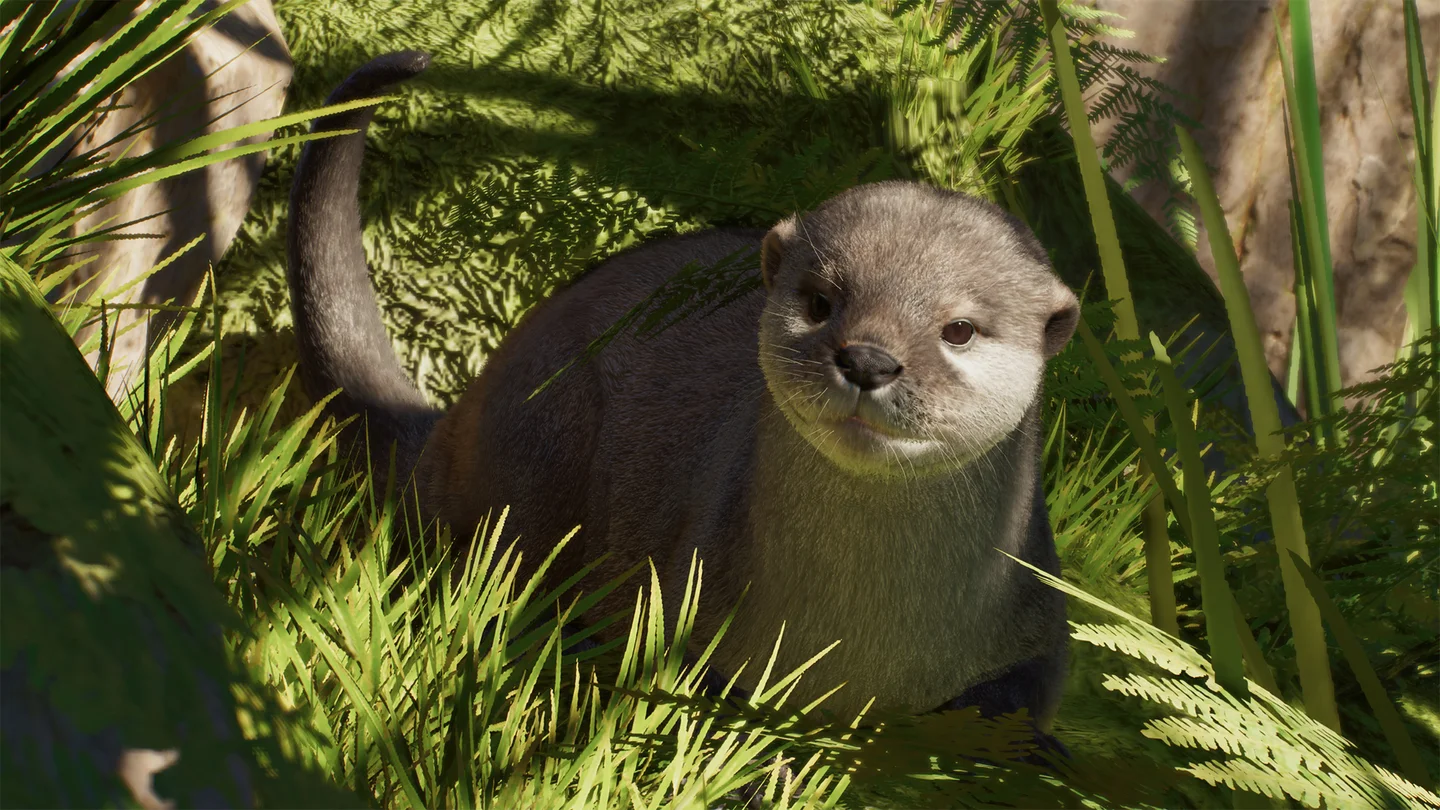 Asian Small-Clawed Otter in Planet Zoo 2 — official Frontier image