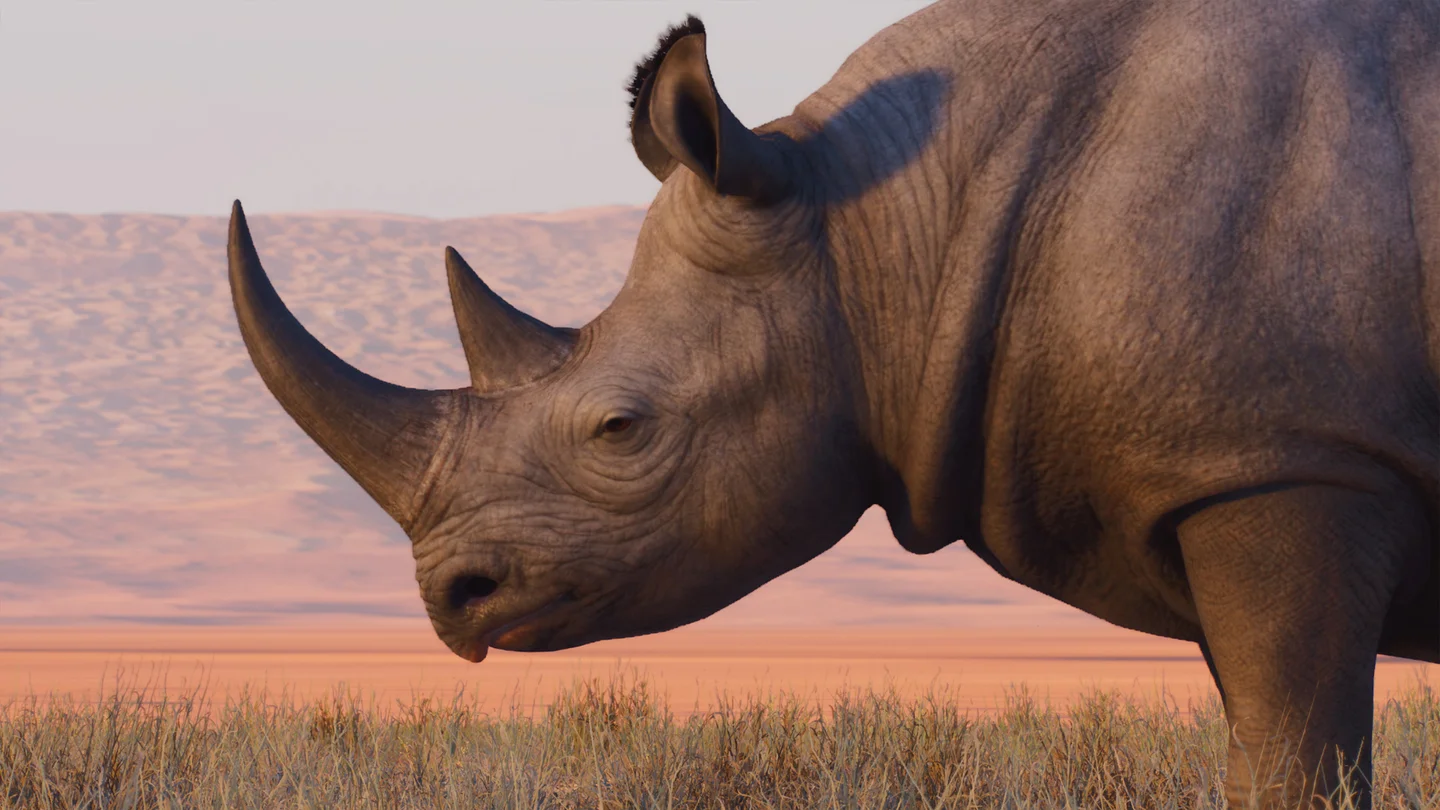Black Rhinoceros in Planet Zoo 2 — official Frontier image
