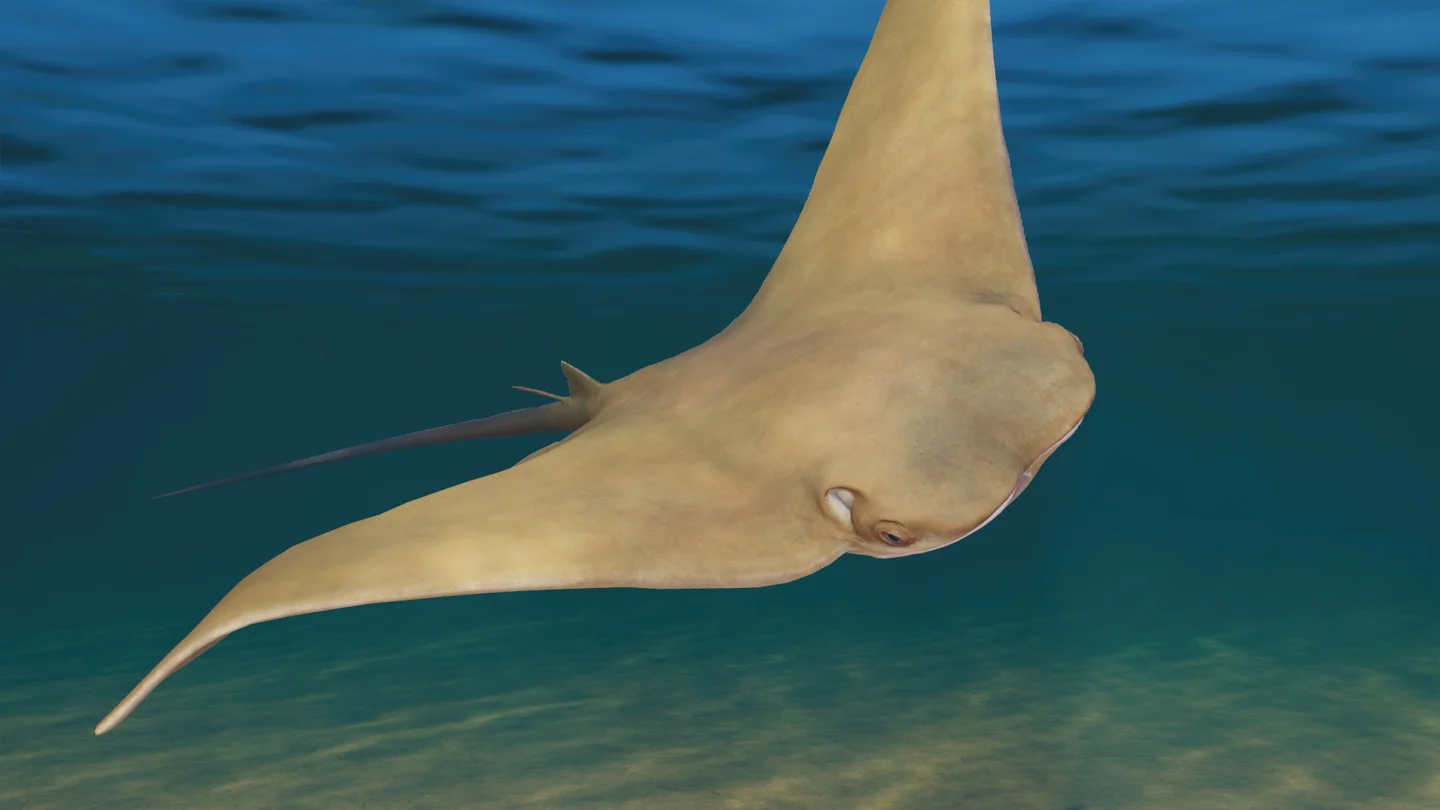 Javanese Cownose Ray in Planet Zoo 2 — official Frontier image