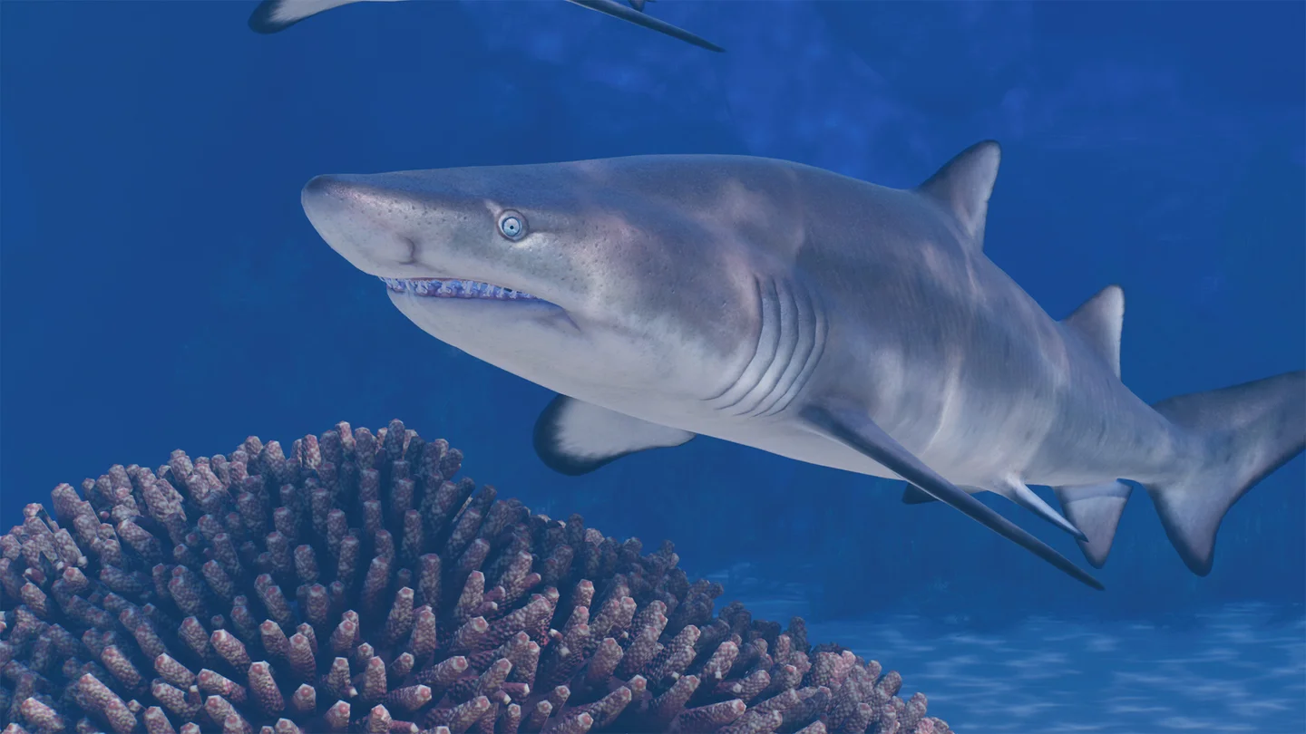 Sand Tiger Shark in Planet Zoo 2 — official Frontier image